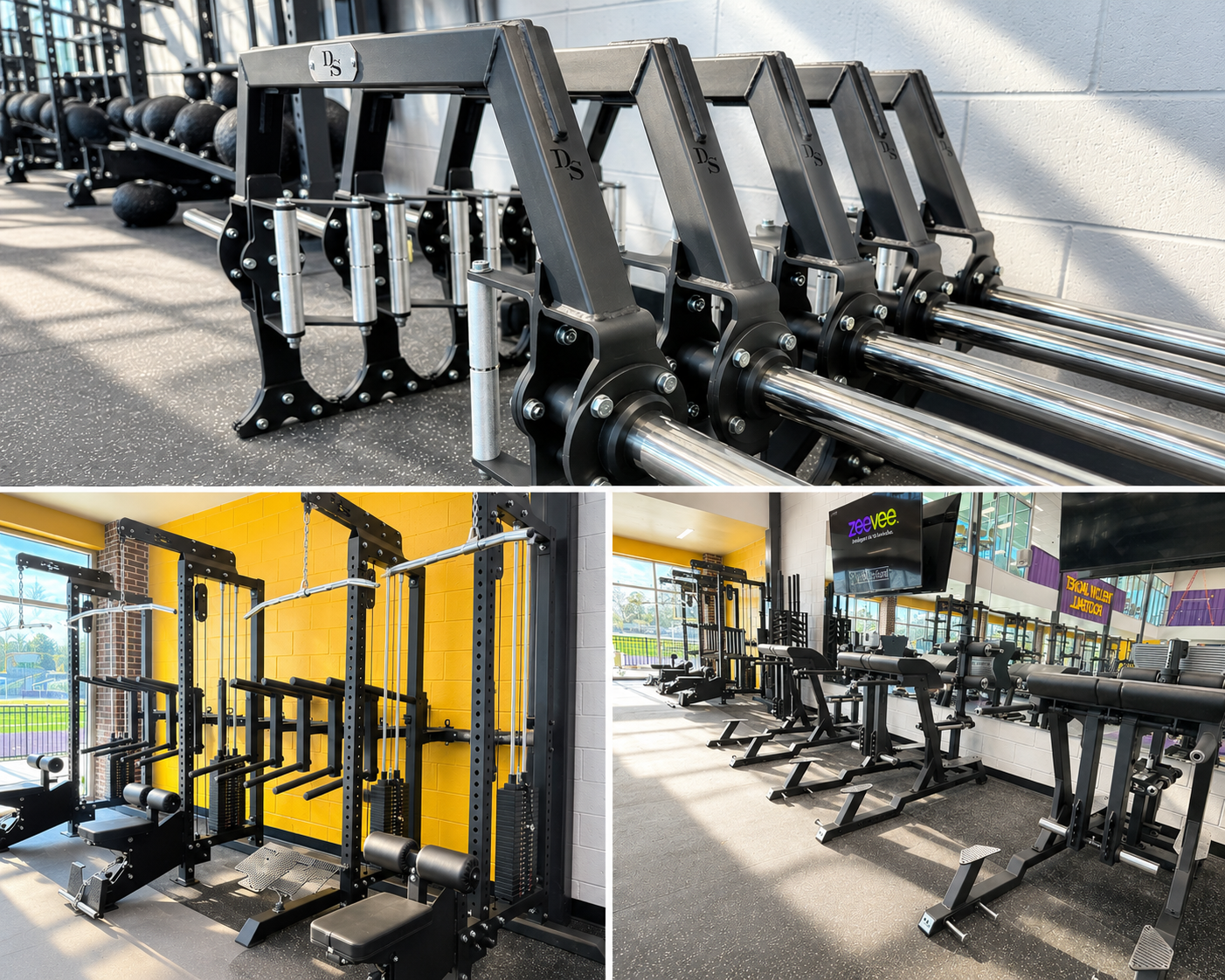 Denham Springs custom cable machines, trap bar, and reverse-hyper